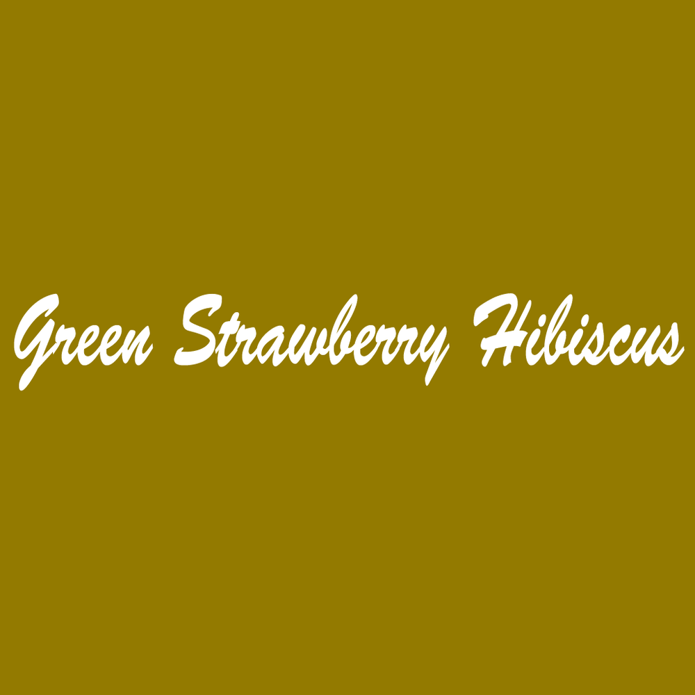 Green Strawberry Hibiscus