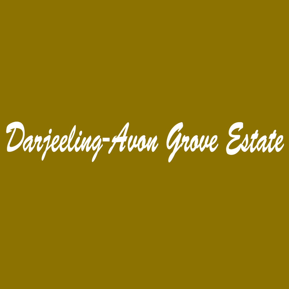 Darjeeling-Avon Grove Estate