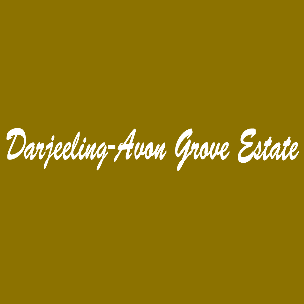Darjeeling-Avon Grove Estate