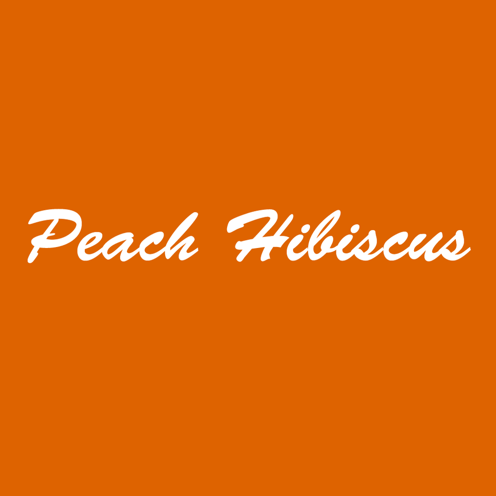 Peach Hibiscus