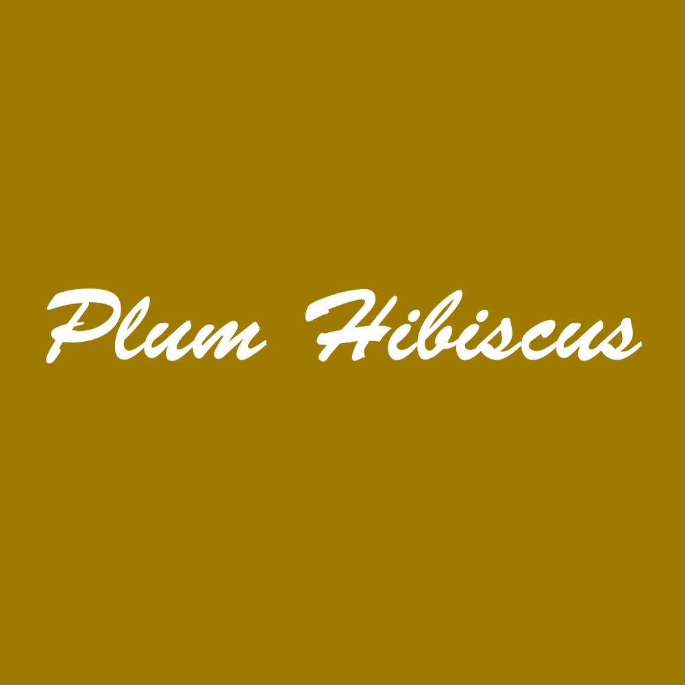 Plum Hibiscus
