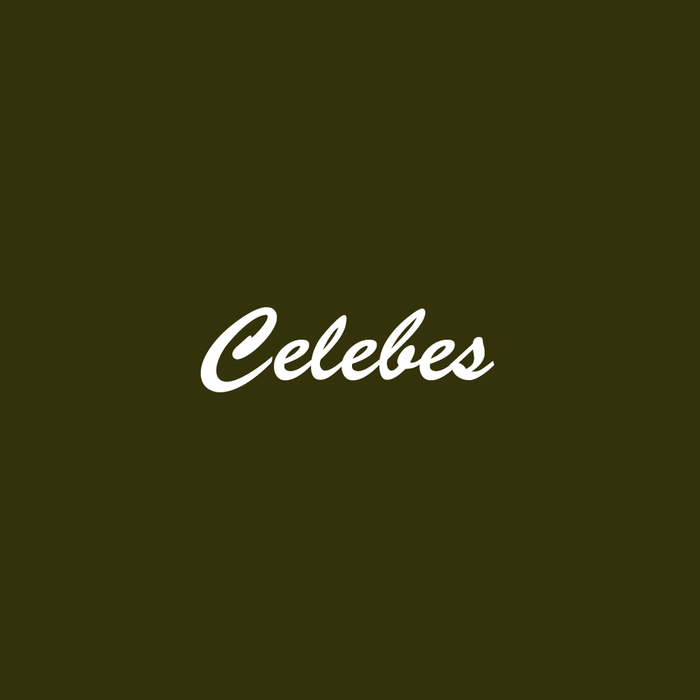 Celebes